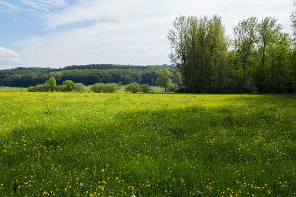 Douglas-idyllische-Landschaft-K03A2489-Kopie